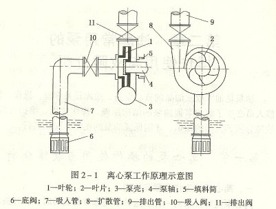 不锈钢离心泵的工作原理装置